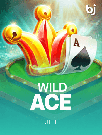 ওয়াইল্ড এস game thumbnail